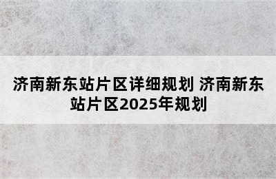 济南新东站片区详细规划 济南新东站片区2025年规划